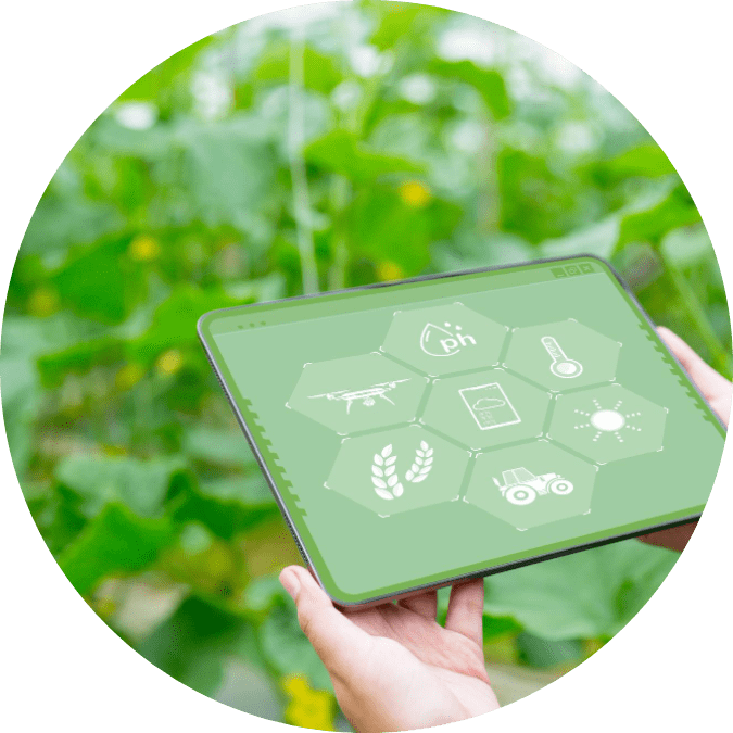 Cuaderno de campo
